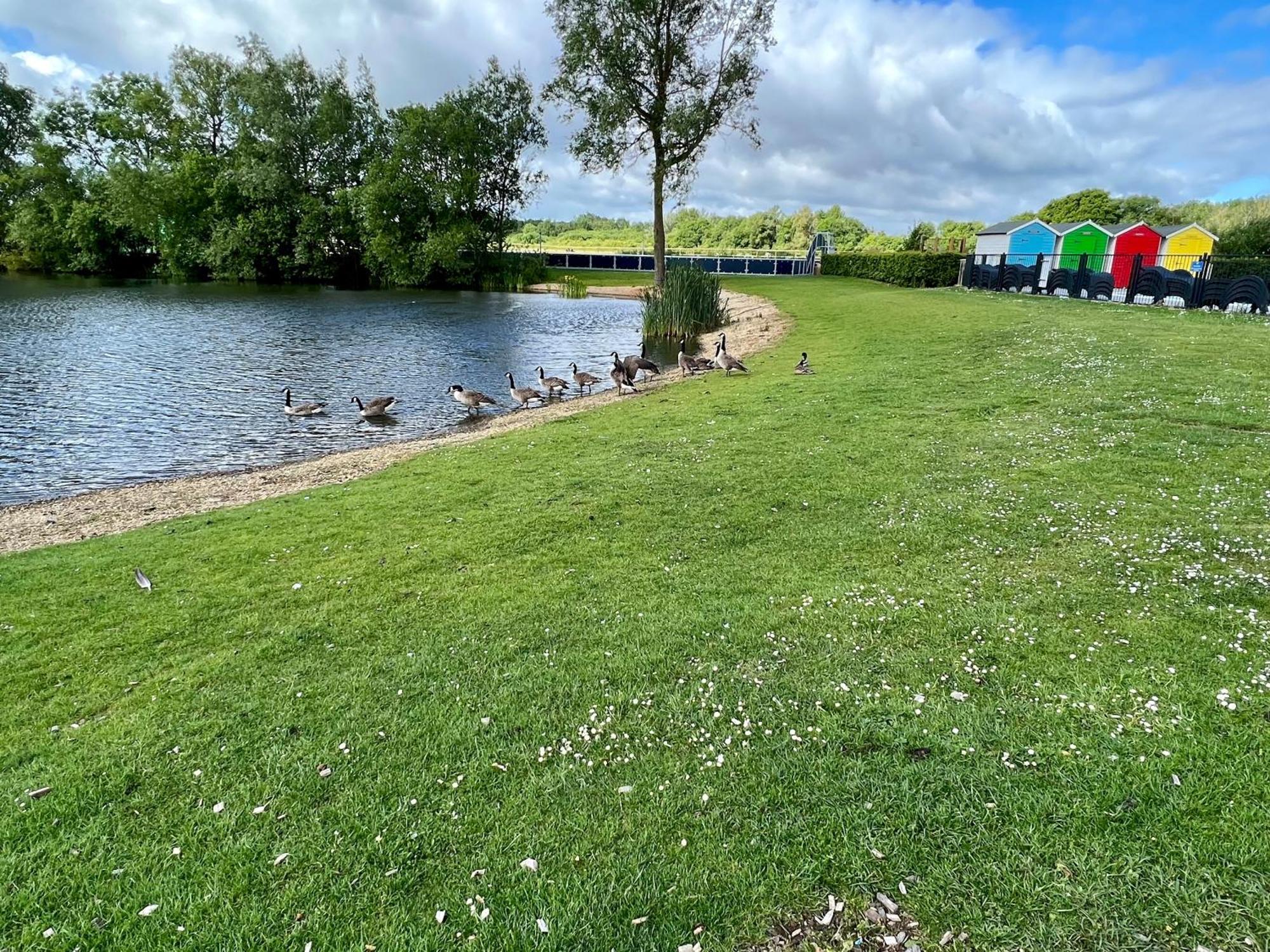Cottontail Lodge - Hot Tub - Pet Friendly South Cerney Exteriér fotografie